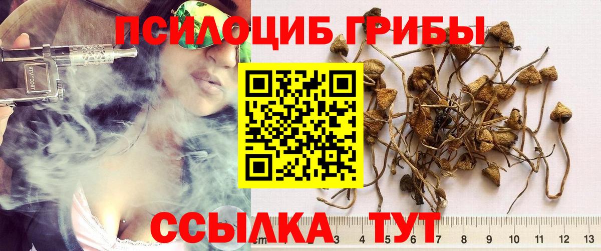 Азов  Галлюциногенные грибы Psilocybine cubensis  Вход с VPN 